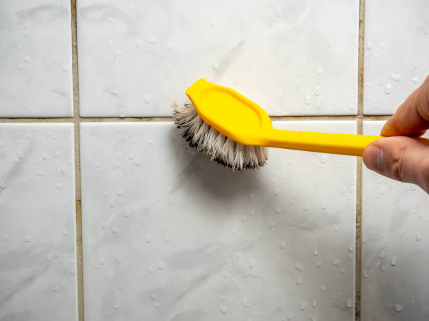 Best Mold Remediation for Schools in Ponder, TX