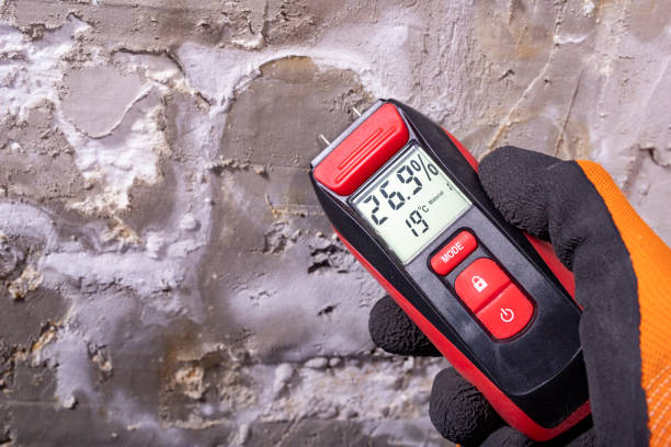 Best Commercial Mold Remediation in Ponder, TX